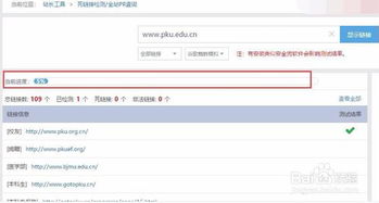 怎样检查死链接？