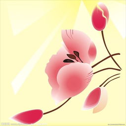 电脑打不开花瓣网？