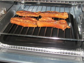 烤箱烤五花肉的做法大全视频