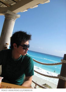 trips是什么意思