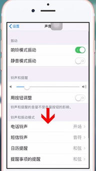 如何在苹果手机上下载pp助手？