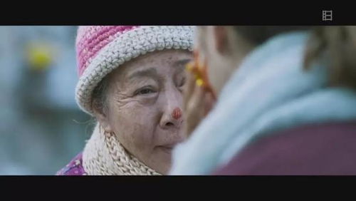 百度奶奶的自我介绍