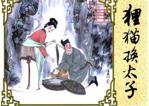 狸猫换太子的故事简介