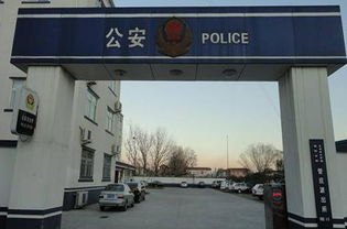 网络诈骗110在线咨询