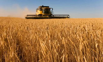 农业科技种植技术推广