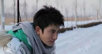 贾乃亮个人资料及出道经过