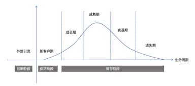 成长期是什么意思？