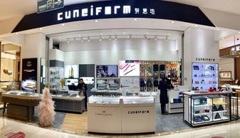 电信宽带套餐内有可选项叫“1个国内精品网地址或者