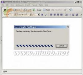 c盘中Macromedia文件夹是什么？