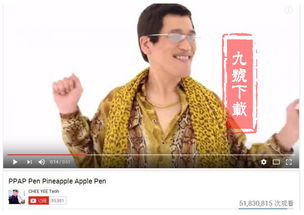 PPAP到底表达的什么意思？