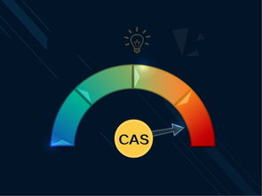 FLASH是什么东西?