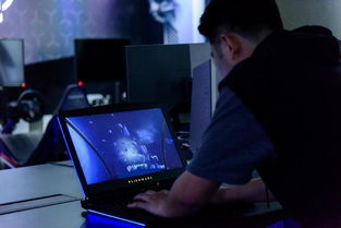 17track和中国邮政什么关系