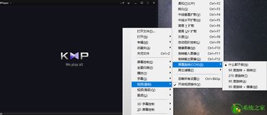 kmplayer有没有中文版