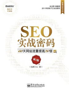 seo可以做什么 《seo实战密码》