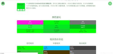 前端软件工程师