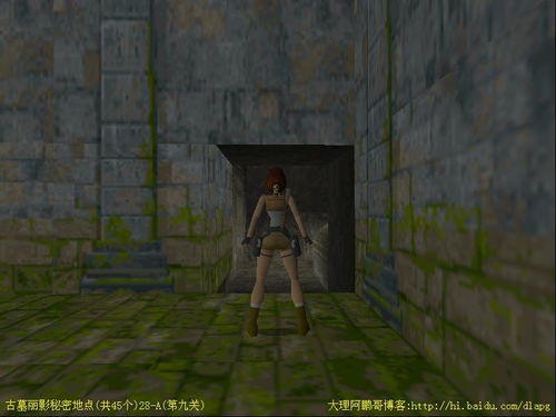 求PC版古墓丽影1最后一个章节的通关攻略