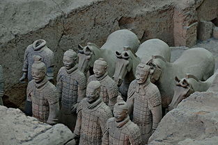 兵马俑博物馆门票官网，兵马俑博物馆开放时间