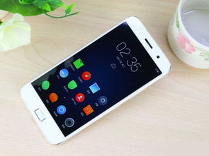 新手机上市多久专卖店才有