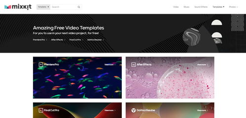 如何把网上的视频下载下来？