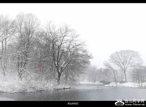 《华为的冬天》读后感