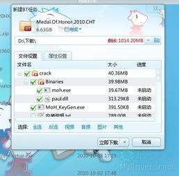 bt种子文件是什么意思