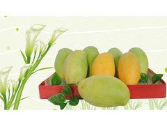 水果配送平台有哪些,水果批发配送平台