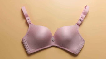 文胸是什么样的图片