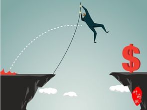 风险投资的风险,风险投资的运作