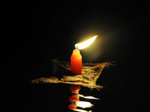 安慰节哀顺变的意思,逝者安息,节哀顺变的意思