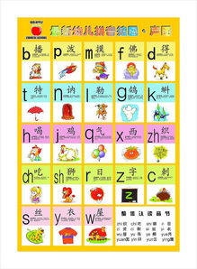 所有声母有哪些?