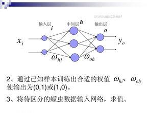 神经网络的工作原理