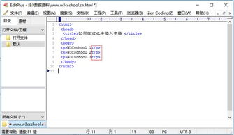 html表示空格的是什么
