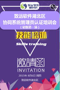 北京致远互联软件股份有限公司辽宁分公司怎么样？