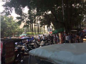 合浦123网有无宝骏五菱二手车买