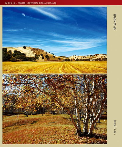 橡树摄影网的发展史