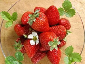 草莓节是几月几号,草莓节活动策划方案