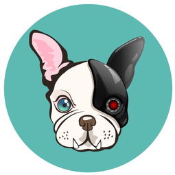 酷玩实验室教程怎么打不开了?