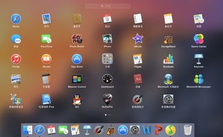 应用软件是指/?