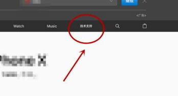 苹果进入苹果官网该怎么查询激活日期