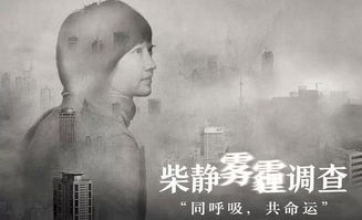 求柴静的《穹顶之下》具体内容，越详细越好