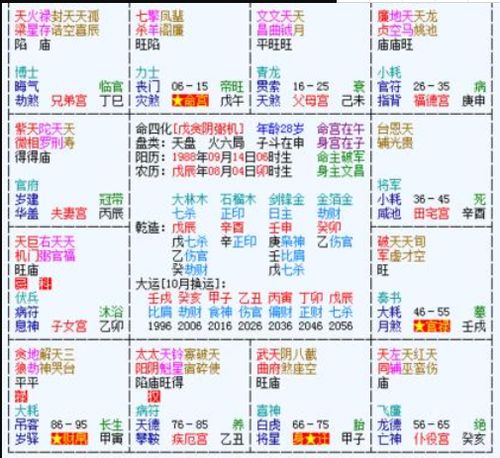 忘了生辰八字什么意思