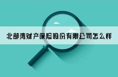 北部湾保险电话报案电话