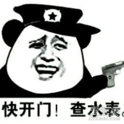 查水表是什么意思？