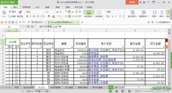财务记账表格模板图片，财务记账表格模板电子版