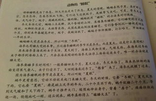 过渡句的作用答题格式,过渡句的作用有几种