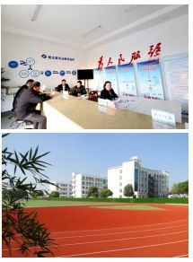 东台网站建设公司,东台建设局