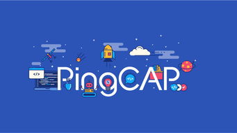 pingcap 估值,pingcap cto