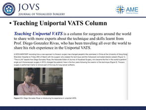 uniportal什么意思，uniportal怎么读