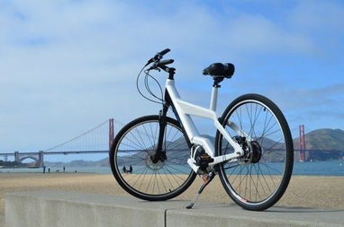 目前的自行车排行是什么？