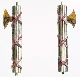 法西斯是什么意思啊？